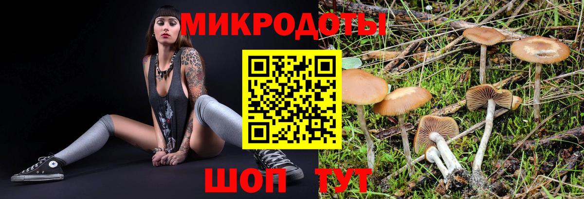 Сызрань  Псилоцибиновые грибы MAGIC MUSHROOMS  Псилоцибиновые грибы Magic Shrooms  Вход с VPN 